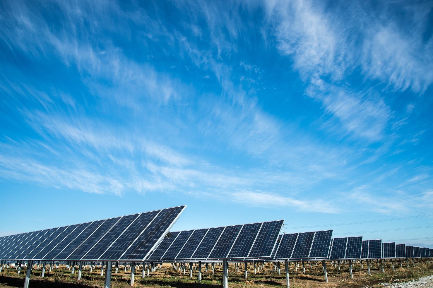 Biofuel Energy