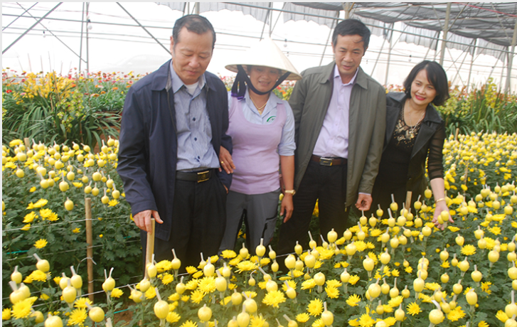 CHỦ TỊCH UBND TỈNH LÀM VIỆC VỚI NHÀ MÁY PHÂN LOẠI, XỬ LÝ RÁC THẢI, SẢN XUẤT BIOGAS VÀ PHÂN BÓN KHOÁNG HỮU CƠ